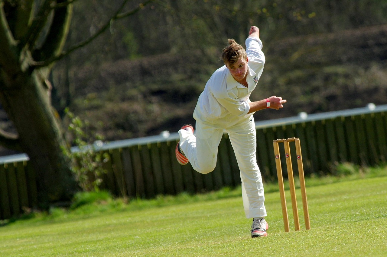 cricket, bowling, cricketer, wicket, sport, match, field, sportsman, bowler, action, playing, cricket player, sport of cricket, team sport, cricket bowler, bowl, stump, cricket game, player, sports team, cricket ball, competitive sport, pitch, cricket, cricket, cricket, cricket, cricket